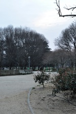 Enlarge photo 43