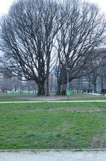 Enlarge photo 45