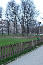 Enlarge photo 49