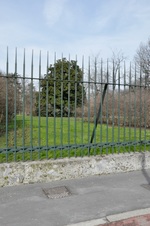 Enlarge photo 52