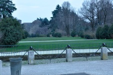 Enlarge photo 60