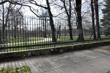 Enlarge photo 61