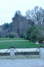 Enlarge photo 62