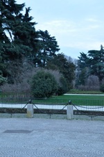 Enlarge photo 64