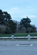 Enlarge photo 66