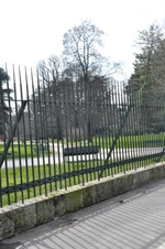 Enlarge photo 70
