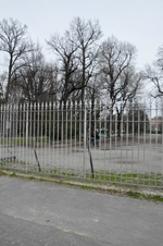 Enlarge photo 84