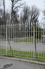 Enlarge photo 87