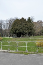 Enlarge photo 88