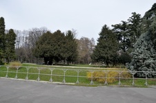 Enlarge photo 89
