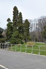 Enlarge photo 90
