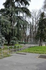 Enlarge photo 91
