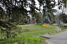 Enlarge photo 92