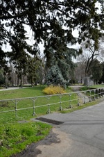 Enlarge photo 93