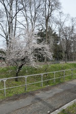 Enlarge photo 94
