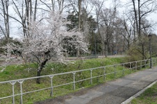 Enlarge photo 95