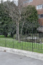 Enlarge photo 126
