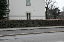 Enlarge photo 129