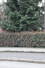 Enlarge photo 131