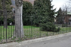 Enlarge photo 135