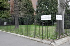 Enlarge photo 137