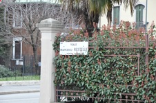 Enlarge photo 145
