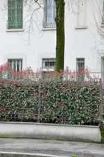Enlarge photo 147