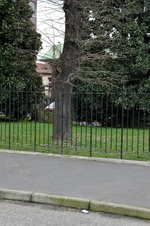 Enlarge photo 148