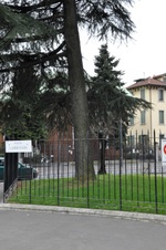 Enlarge photo 150
