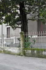 Enlarge photo 151