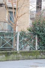 Enlarge photo 155
