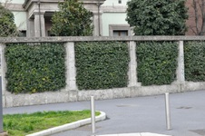 Enlarge photo 156