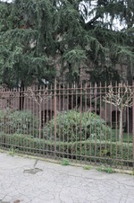 Enlarge photo 160
