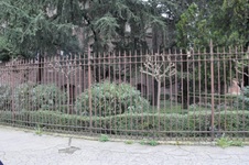 Enlarge photo 161