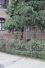 Enlarge photo 162