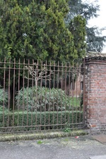 Enlarge photo 163