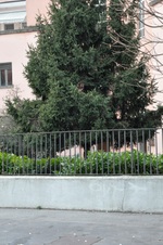 Enlarge photo 166