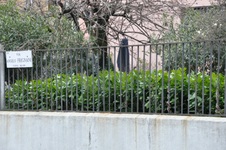 Enlarge photo 167