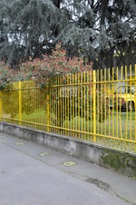 Enlarge photo 169