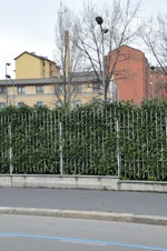Enlarge photo 178