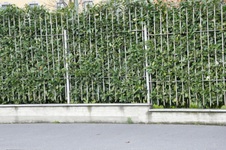 Enlarge photo 179