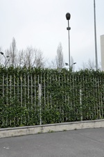 Enlarge photo 182