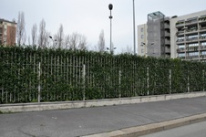 Enlarge photo 183