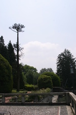 Enlarge photo 1