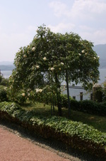 Enlarge photo 4
