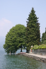Enlarge photo 13