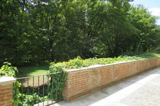 Orti Stelline