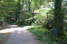 Enlarge photo 10