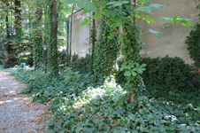 Enlarge photo 12