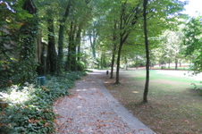 Enlarge photo 13